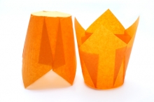 Tulip oranžový